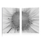 Gruppo di 2 quadri design DAISY