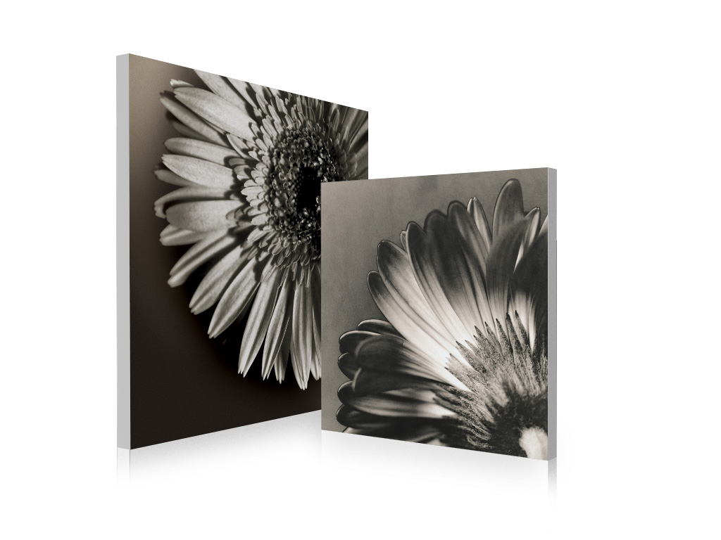 Gruppo di 2 quadri design FLOWERS