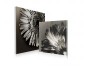 Gruppo di 2 quadri design FLOWERS
