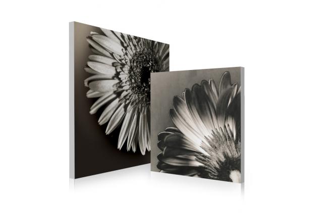 Gruppo di 2 quadri design FLOWERS