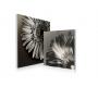 Gruppo di 2 quadri design FLOWERS