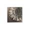 Gruppo di 2 quadri design FLOWERS