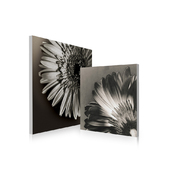 Gruppo di 2 quadri design FLOWERS image pub1