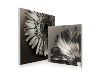 Gruppo di 2 quadri design FLOWERS