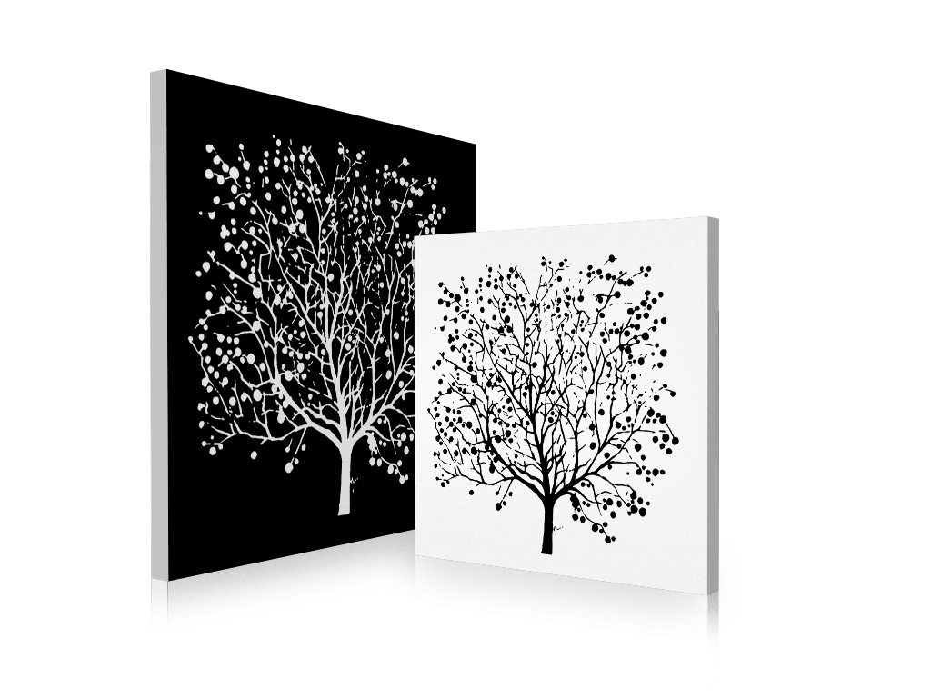 Gruppo di 2 quadri design SPRING colore bianco e nero