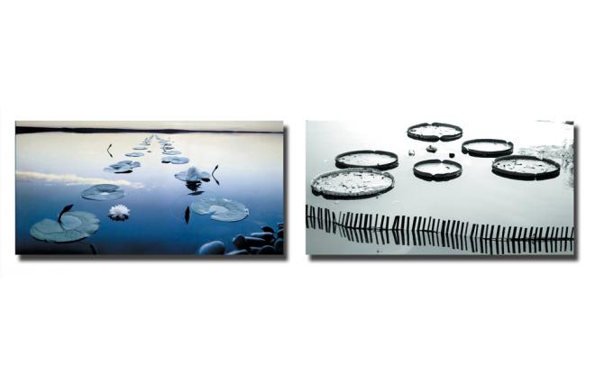 Gruppo di 2 quadri design WATERLILY