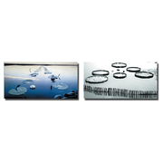 Gruppo di 2 quadri design WATERLILY image pub1