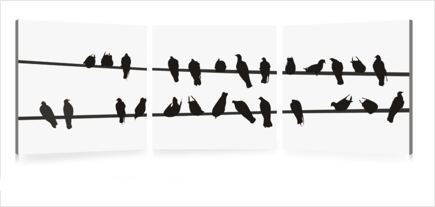 Gruppo di 3 quadri design BIRDS