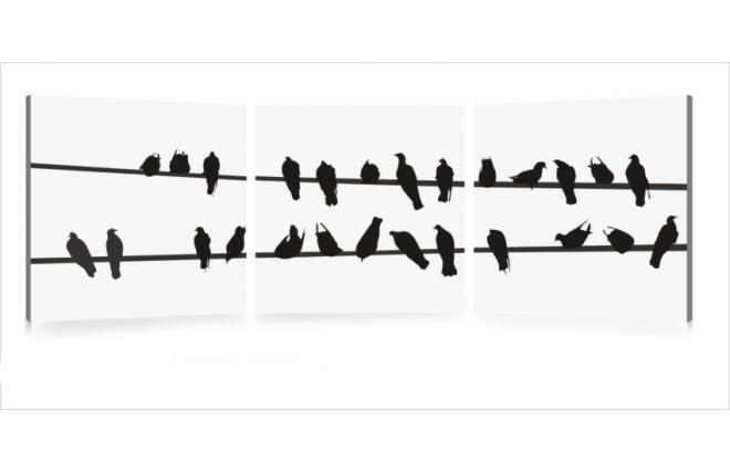 Gruppo di 3 quadri design BIRDS