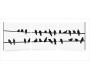 Gruppo di 3 quadri design BIRDS