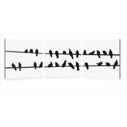 Gruppo di 3 quadri design BIRDS image pub1