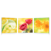 Gruppo di 3 quadri design NEW FLOWERS image pub1