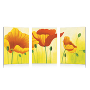 Gruppo di 3 quadri design NEW POPPIES image pub1