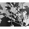 Paravento 3 ante legno e tessuto FLORA