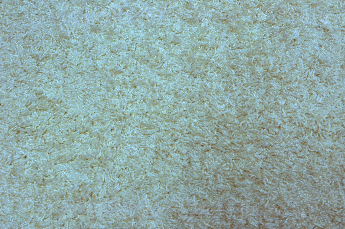 Tappeto design EDELWEISS bianco image 1