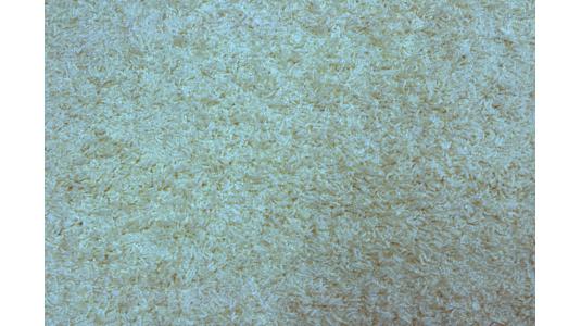 Tappeto design EDELWEISS bianco image 1