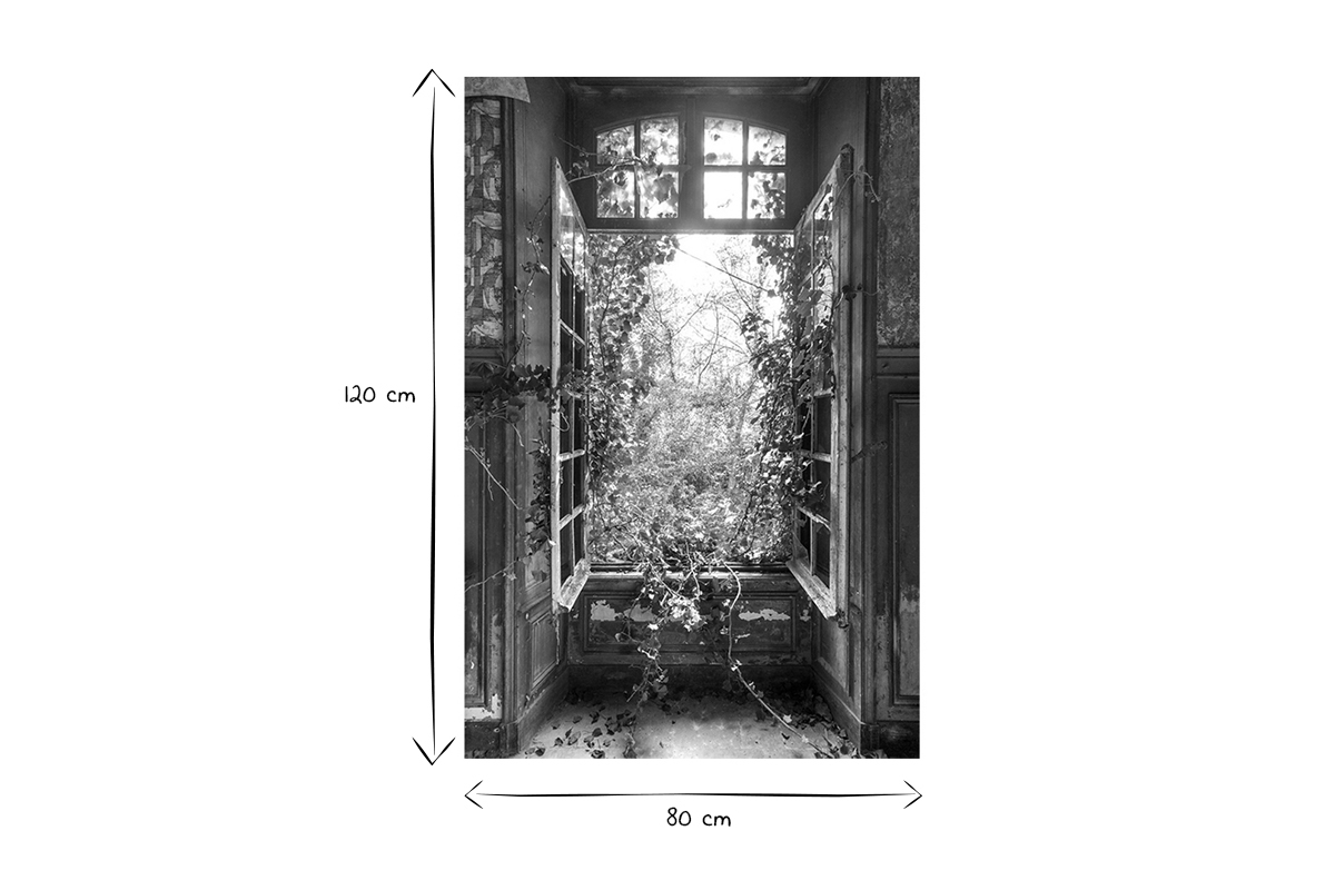 Cornice foto natura stile urbex plexiglass L80 x L120 cm LIERE