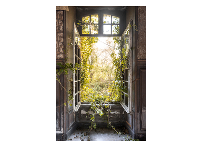 Cornice foto natura stile urbex plexiglass L80 x L120 cm LIERE