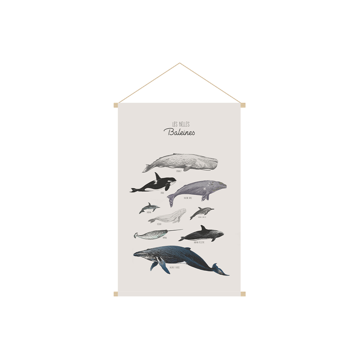 Kakemono bambini illustrazione balene L40 x L60 cm OCEAN