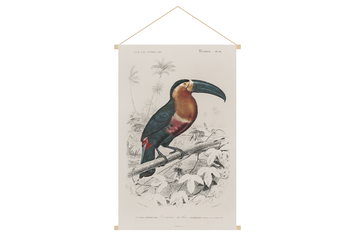 Kakemono tucano L40 x L60 cm TOUCAN