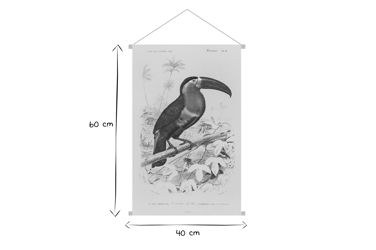 Kakemono tucano L40 x L60 cm TOUCAN