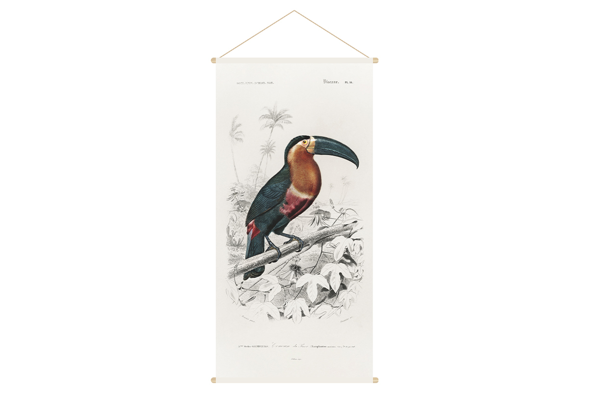 Kakemono tucano L65 x L130 cm TOUCAN