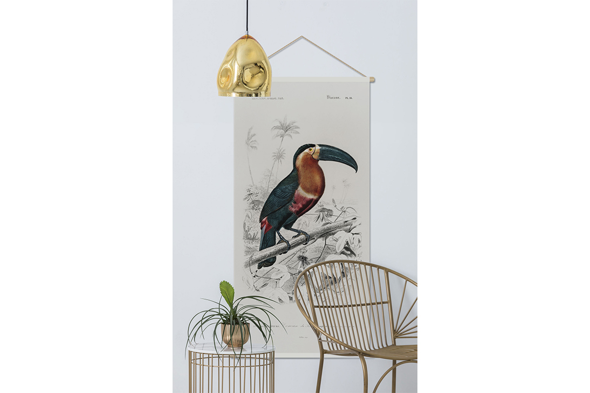 Kakemono tucano L65 x L130 cm TOUCAN