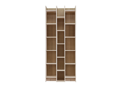 Libreria di design con impiallacciatura in rovere, modello: CLIMB
